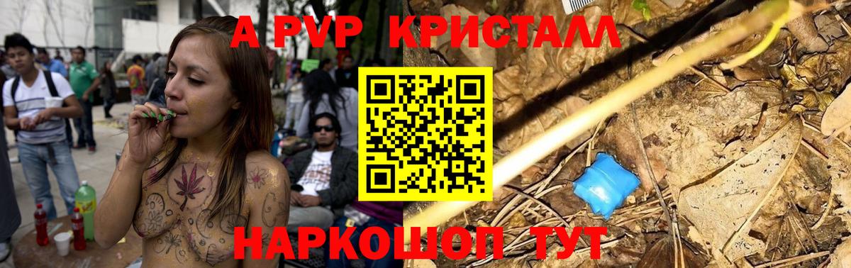 APVP крисы CK  А ПВП крисы CK  Вход с VPN  Будённовск  Alfa_PVP  А ПВП СК КРИС 