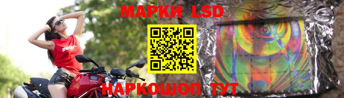 A-PVP Будённовск