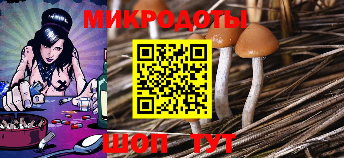 Галлюциногенные грибы Psilocybe  Галлюциногенные грибы мицелий  Будённовск  Вход с VPN 